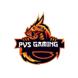 PVS Gaming Esports - Playtics